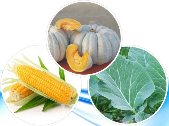 3'LÜ YERLİ HOBİ TOHUM SETİ-13 (HEDİYE SOLUCAN GÜBRESİ) ürün görseli 1