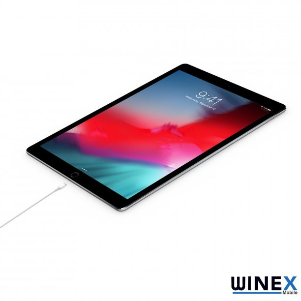 Winex 5A 100W 2Metre Type-C to Lightning Şarj Kablosu Beyaz - Resim 4