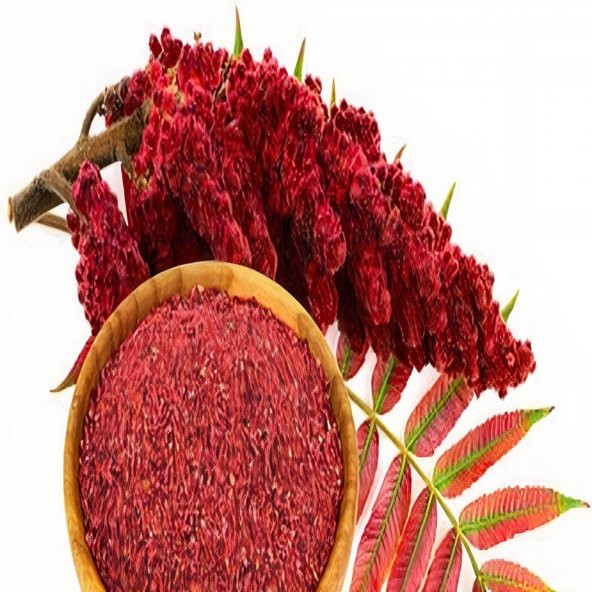 Tüplü Özel Çeşit Sumak Ağacı Fidanı (Seneye Meyve Verir) - 2