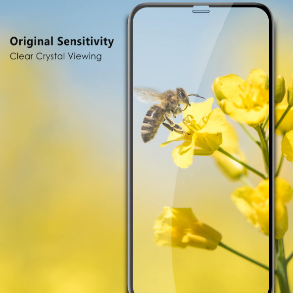 TANCELL iPhone 11 Pro / iPhone Xs / iPhone X Uyumlu Japon Kırılmaz Cam Koruyucu Tam Kaplayan Ekran - 3