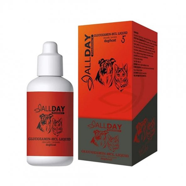AllDay 5 Glukozamin-HCL Kedi Ve köpek Şurup 100 Ml