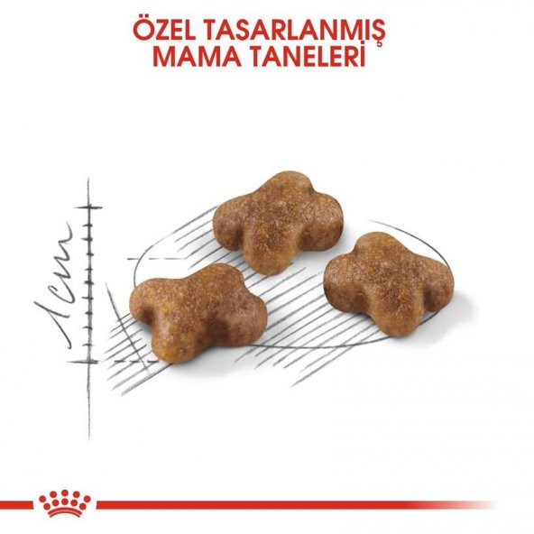 Royal Canin 36 Kitten Yavru Kuru Kedi Maması 4 kg - 3