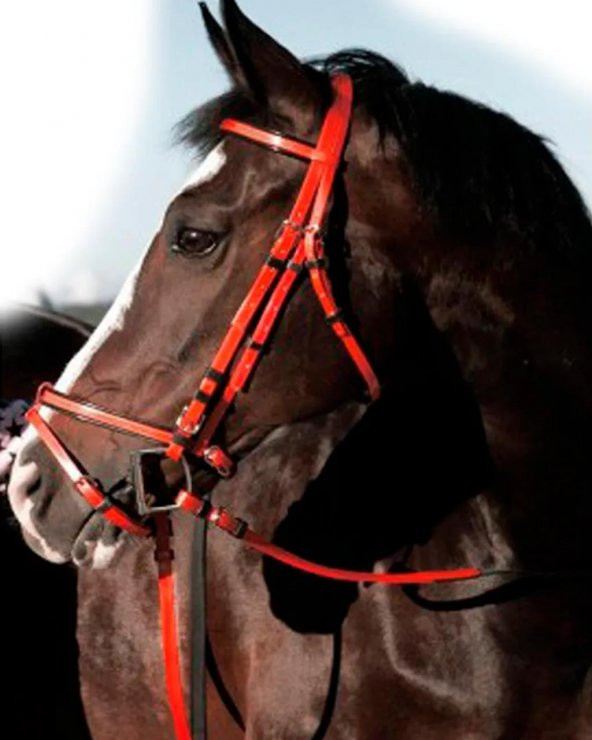 Atlar için PVC Başlık ve Dizgin Seti SARI - 4