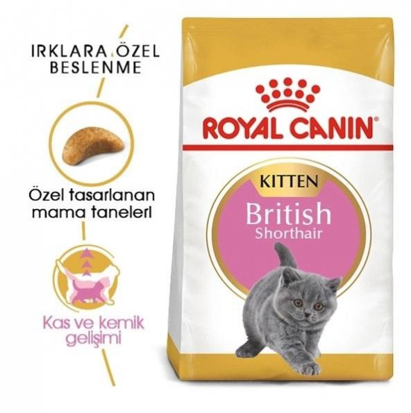 Royal Canin British Shorthair Kedi Maması 2 Kg