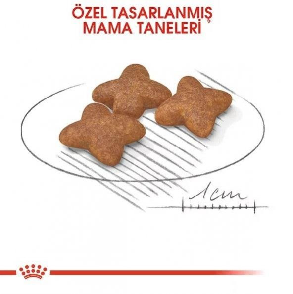 Royal Canin Mini Adult Küçük Irk Köpek Maması 2 Kg - 3