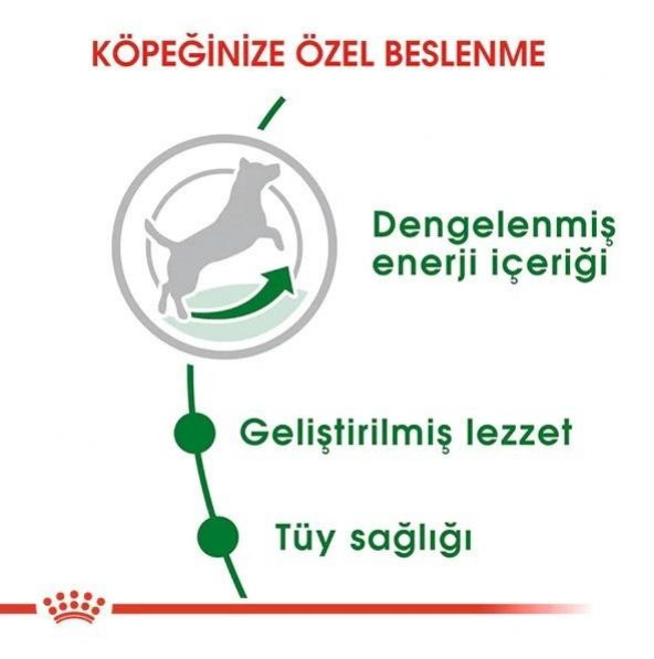 Royal Canin Mini Adult Küçük Irk Köpek Maması 2 Kg - 5
