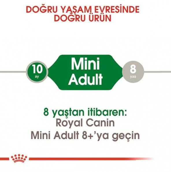 Royal Canin Mini Adult Küçük Irk Köpek Maması 2 Kg - 6