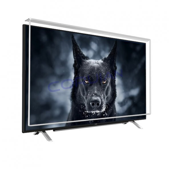 CORUIAN Hi Level 55" 140 Ekran Tv Ekran Koruyucu / Ekran Koruma Paneli