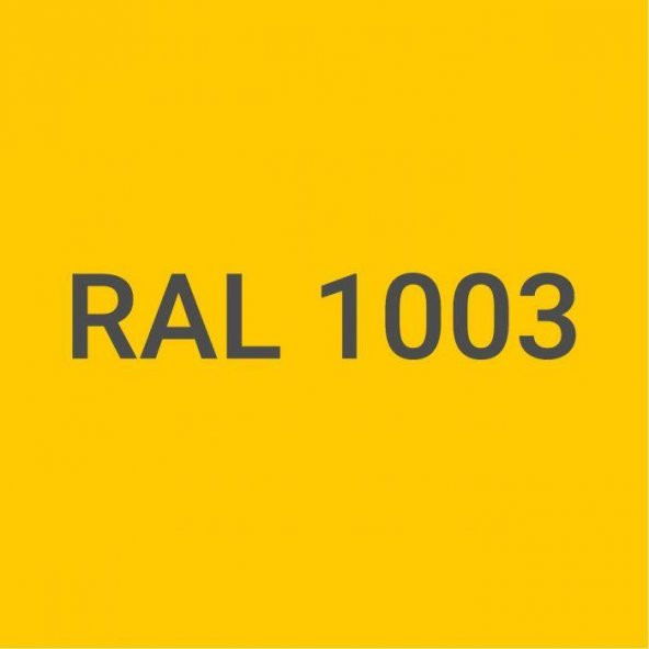 Pamukkale 1402 Rapid Endüstriyel Boya 60-70 Gloss 2.5 Kg Taksi Sarı Ral 1003 - 2