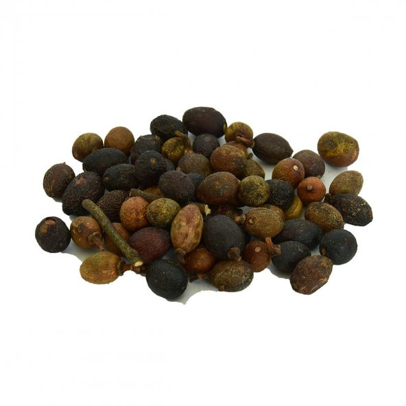 Defne Tohumu 100 Gr Paket - 5