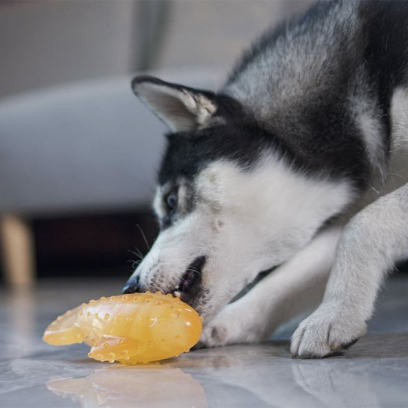 Köpek Oyuncağı Silikon Balık Pembe - 4