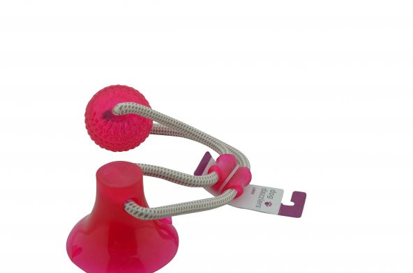 Vantuzlu Top Pembe Köpek Oyuncağı - 4