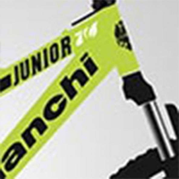 Bianchi Junıor 24 Jant 370H 21-V Vb Sarı-Siyah-Gri - 2
