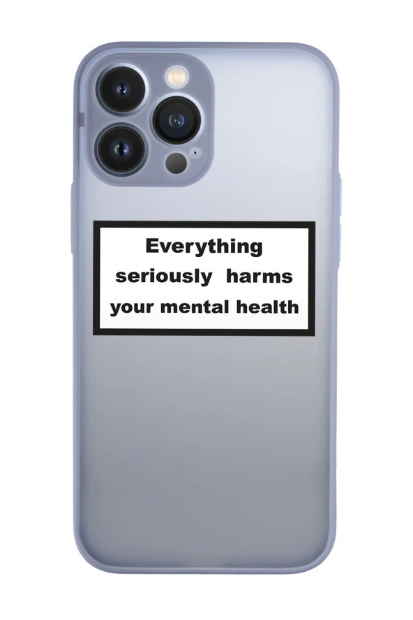 iPhone 13 Pro Max Uyumlu Everythink Desenli Kamera Korumalı Buzlu Şeffaf Lüx Telefon Kılıfı - 2