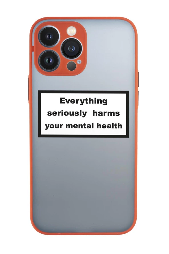 iPhone 13 Pro Max Uyumlu Everythink Desenli Kamera Korumalı Buzlu Şeffaf Lüx Telefon Kılıfı - 4