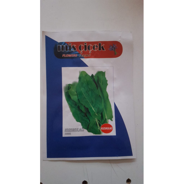 Pazı Tohumu Sebze Tohumlarımız Taze Ve %100 Yüksek Verimlidir.