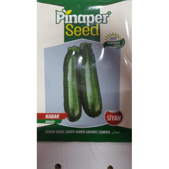 Kabak siyah Tohumu 1 Paket %100 Yüksek Verimlidir.