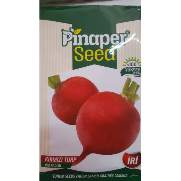 KIRMIZI TURP Tohumu 1 Paket %100 Yüksek Verimlidir. ürün görseli
