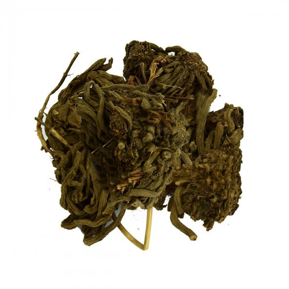 LokmanAVM Kediotu Kökü Doğal 100 Gr Paket - 5