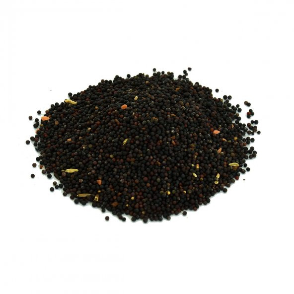 LokmanAVM Hardal Tohumu Tane Doğal Siyah 100 Gr Paket - 5