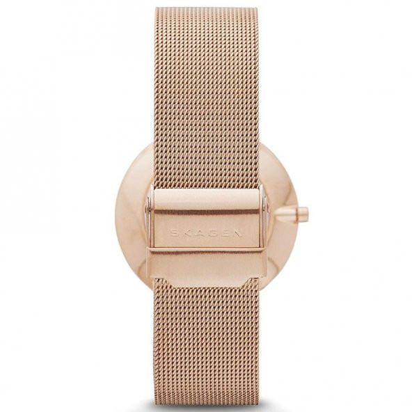 Skagen SKW2130 Bayan Kol Saati - 3