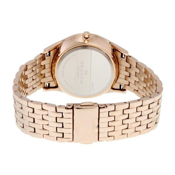 Skagen SKW2388 Bayan Kol Saati - 3