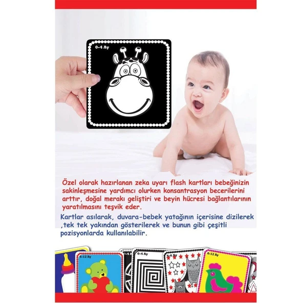 1369 Flash Cards Bebeğimin İlk Zeka Kartları -Dıytoy - 4