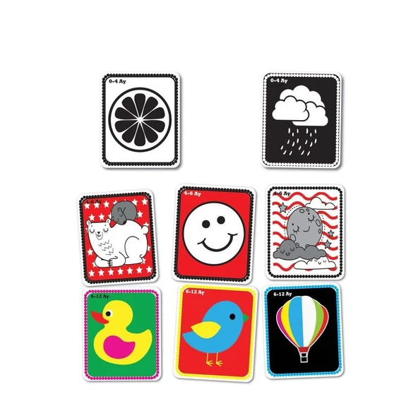 1369 Flash Cards Bebeğimin İlk Zeka Kartları -Dıytoy - 2