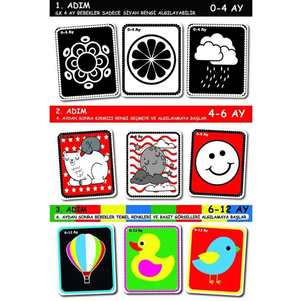 1369 Flash Cards Bebeğimin İlk Zeka Kartları -Dıytoy - 5