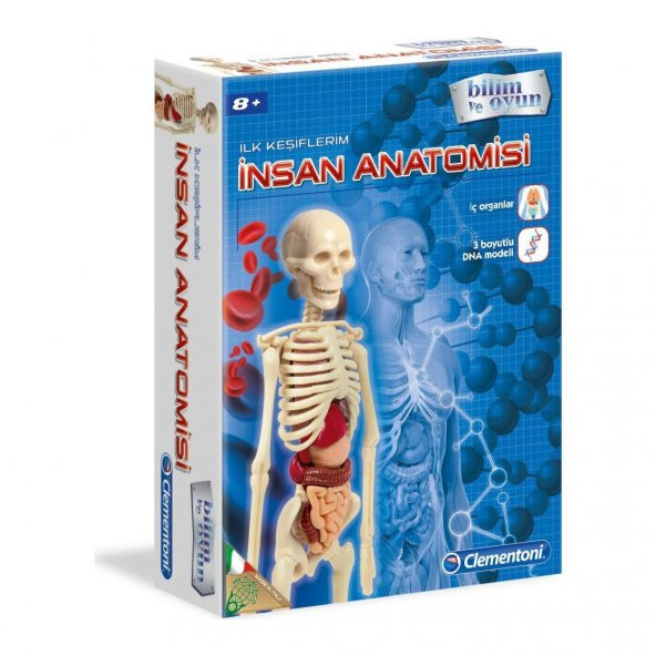Clementoni İlk Keşiflerim (İnsan Anatomisi) - 2