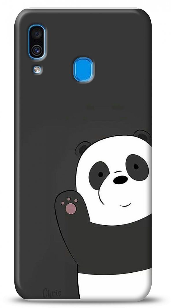 Samsung Galaxy A20 / A30 Hi Panda Kılıf