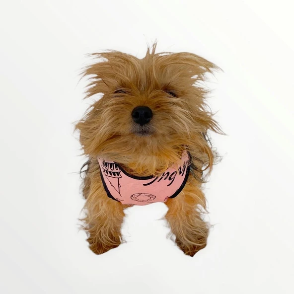 Pink İstanbul Atlet Köpek Kıyafeti  Köpek Elbisesi - 3