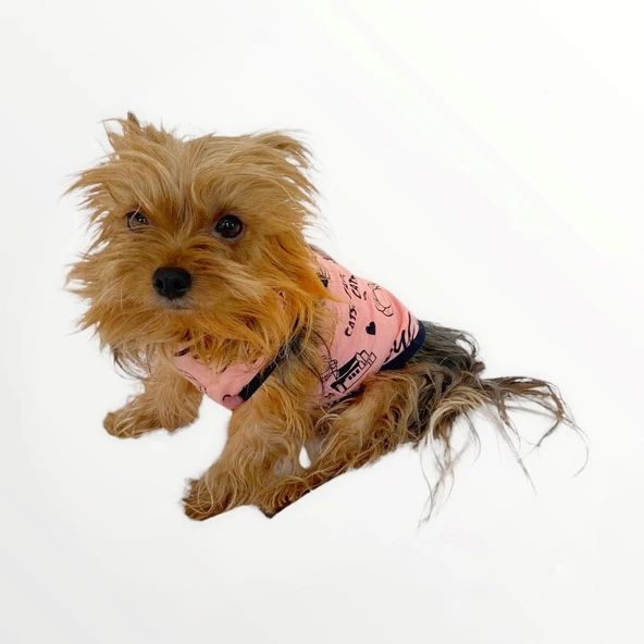 Pink İstanbul Atlet Köpek Kıyafeti  Köpek Elbisesi - 8