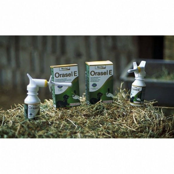 Royal Canin Rovita Orasel E 100 Ml Vitamin Kuzu ve Oğlaklar İçin - 2