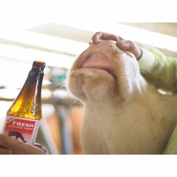 Royal Rovita Fresh 500ML - 2