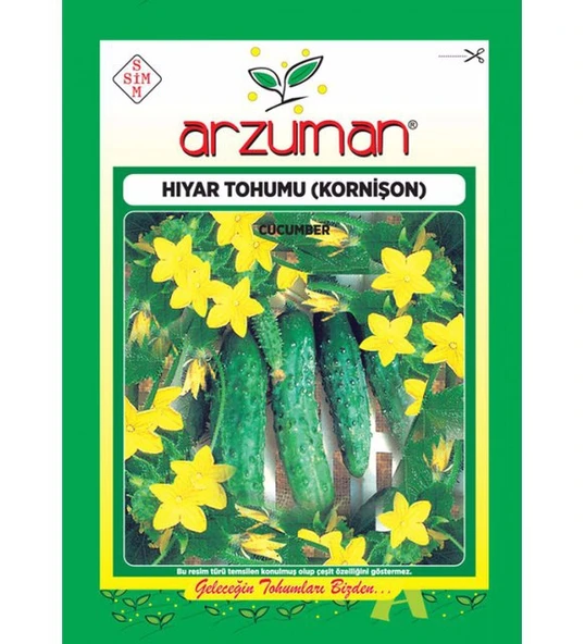 Kornişon Hıyar Tohumu 100 Adet