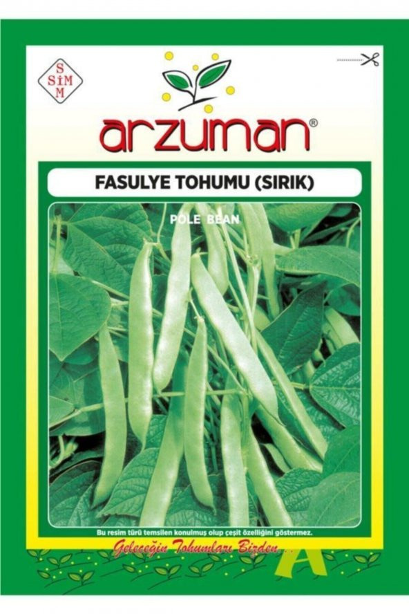 Sırık Fasülye Tohumu 50 Gram