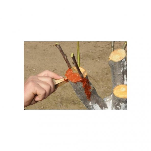Bayram Aşı Bıçağı 22 cm No:3 + Aşı Macunu + Aşı Bandı (3lü Paket) - 2