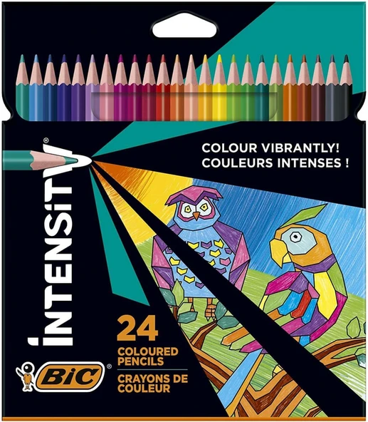 Bic Intensity Color Up Kuru Boya Kalemi 24 RENK / 9641481