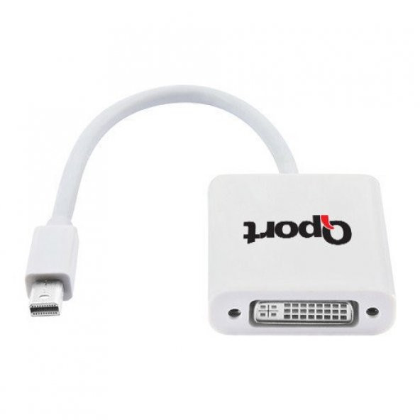 Qport Q-Mdd Mini Displayport(M) To DVI(F) 24+5 Dönüştürücü - 1