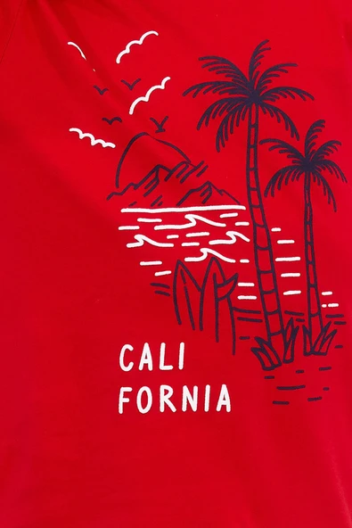 Roly Poly 2709 California Kırmızı Erkek Çocuk Bermuda Takım - 7