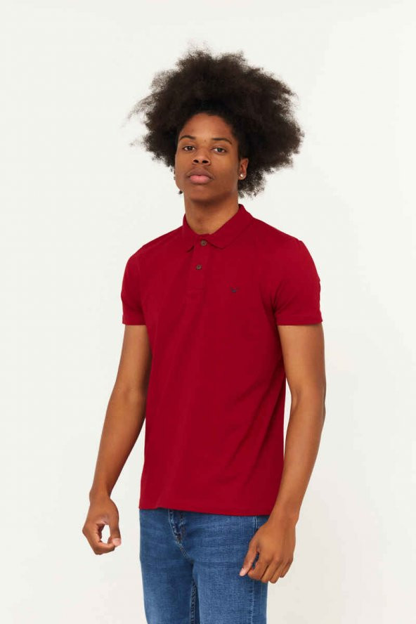 CAZADOR Erkek 100 Pamuklu Polo Yaka Tişört CAZ 4613 - Resim 2