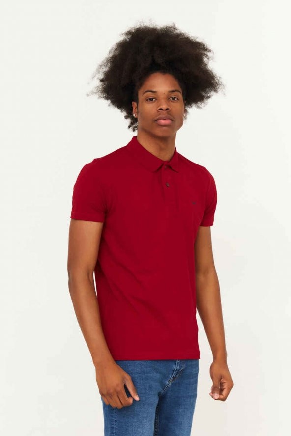 CAZADOR Erkek 100 Pamuklu Polo Yaka Tişört CAZ 4613 - Resim 3