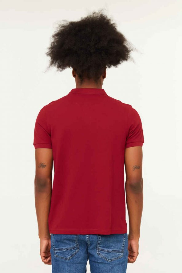 CAZADOR Erkek 100 Pamuklu Polo Yaka Tişört CAZ 4613 - Resim 4