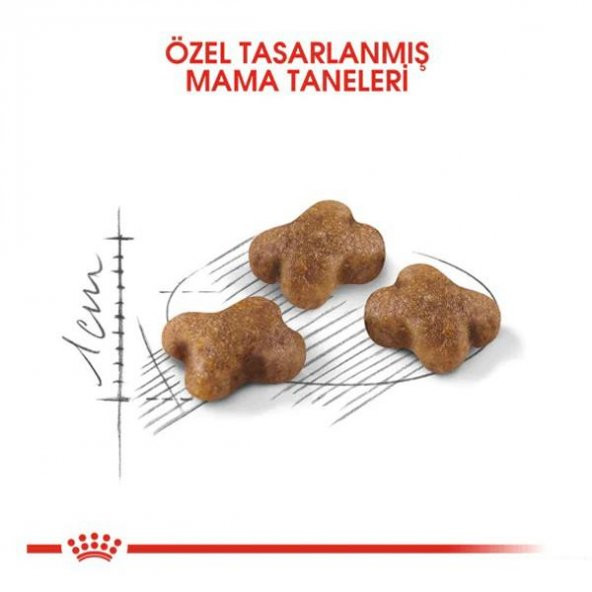 Royal Canin Kitten 36 Yavru Kedi Maması 10 Kg - 3