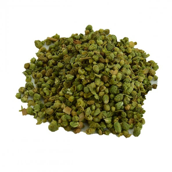 LokmanAVM Bilya Kekik Tomurcuk Doğal Tane 100 Gr Paket - 5