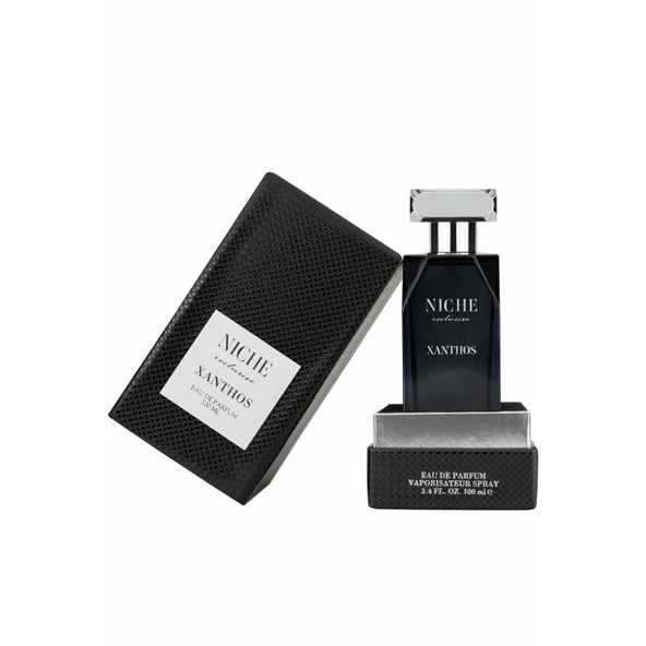Niche Exclusive Xanthos EDP 100 ML Erkek Parfüm - 2