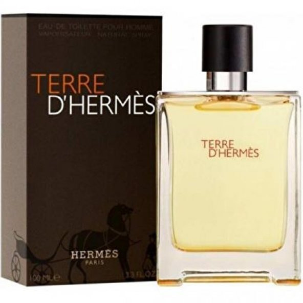 Hermes Terre DHermes EDT 100 ml Erkek Parfümü