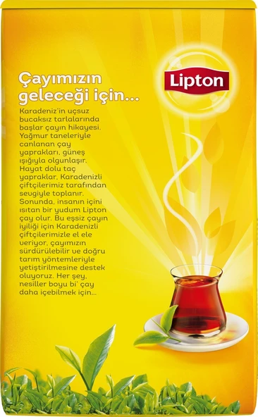 Lipton Doğu Karadeniz Dökme Bergamot Aromalı Siyah Çay 1000 gr - 7