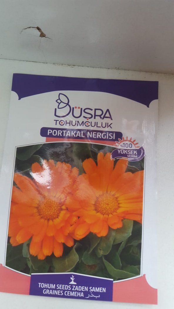 BÜŞRA PORTAKAL NERGİZİ  ÇİÇEK TOHUMU 100  YÜKSEK VERİM